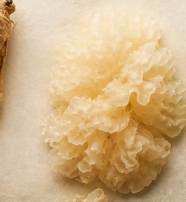 Tremella