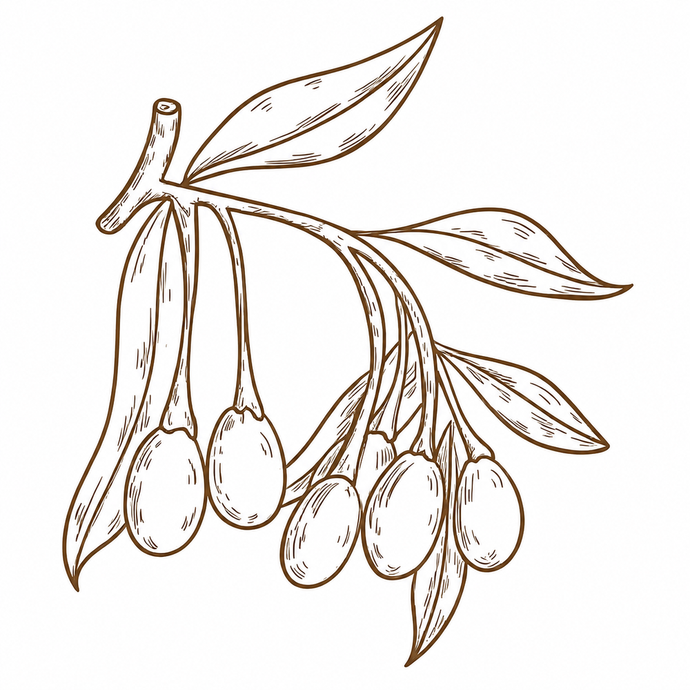 Goji Berry