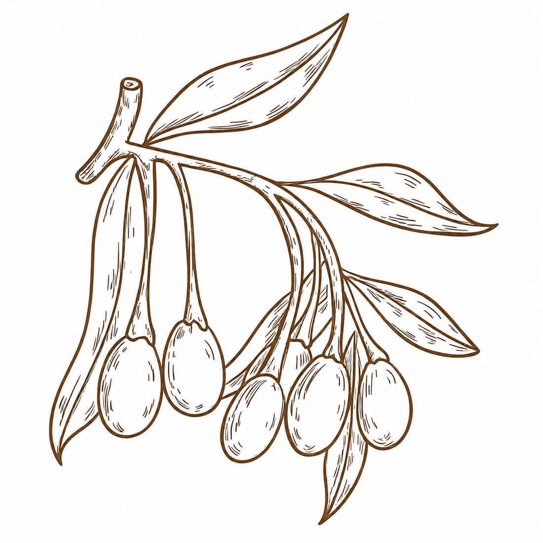 Goji Berry