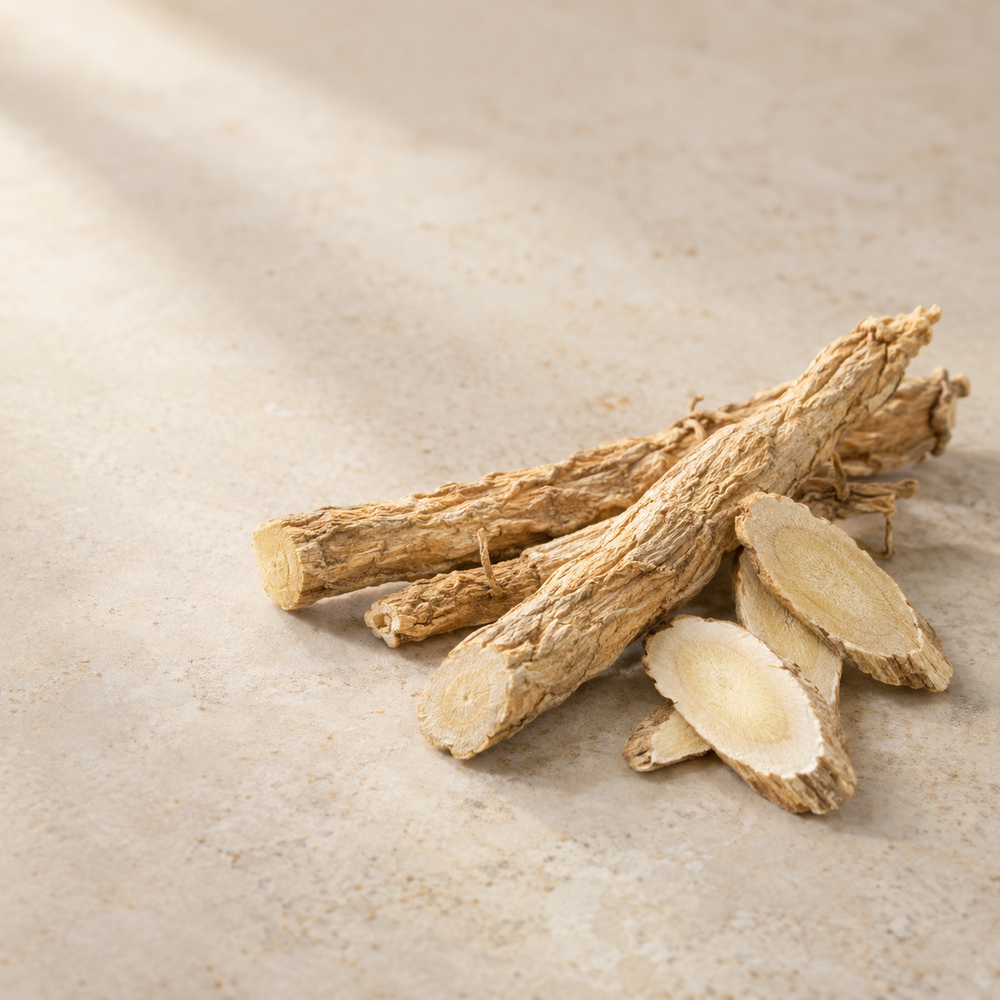 Astragalus root in natural light