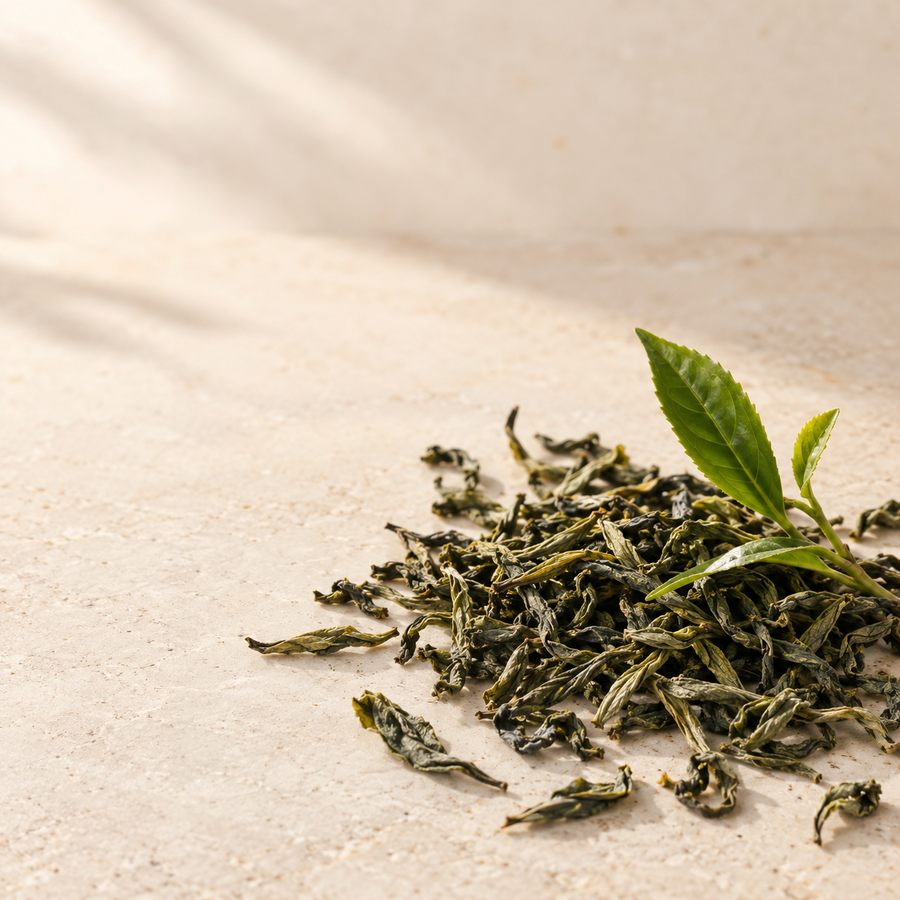Green tea leaves in natural light