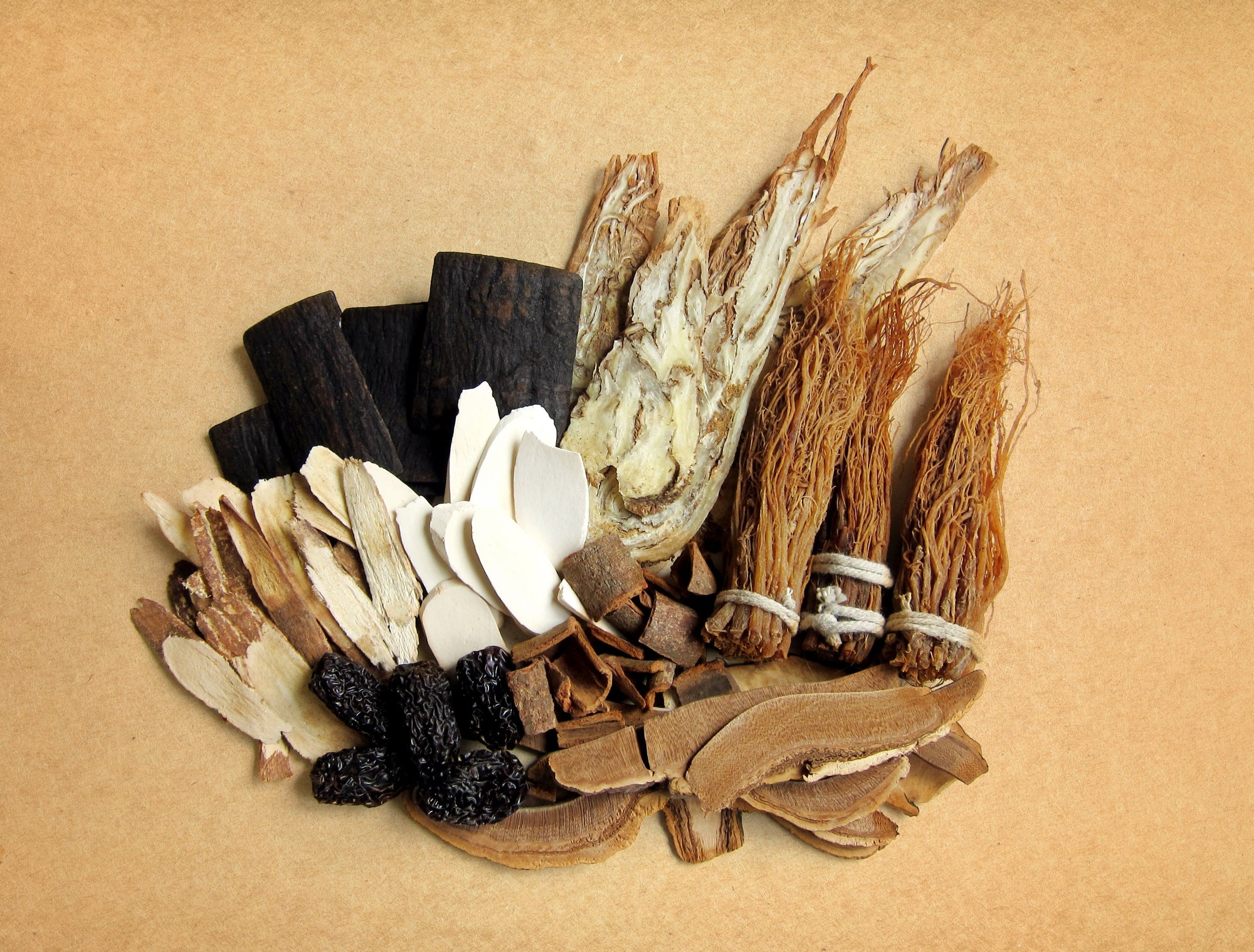 Ginseng Botanical Oil Serum