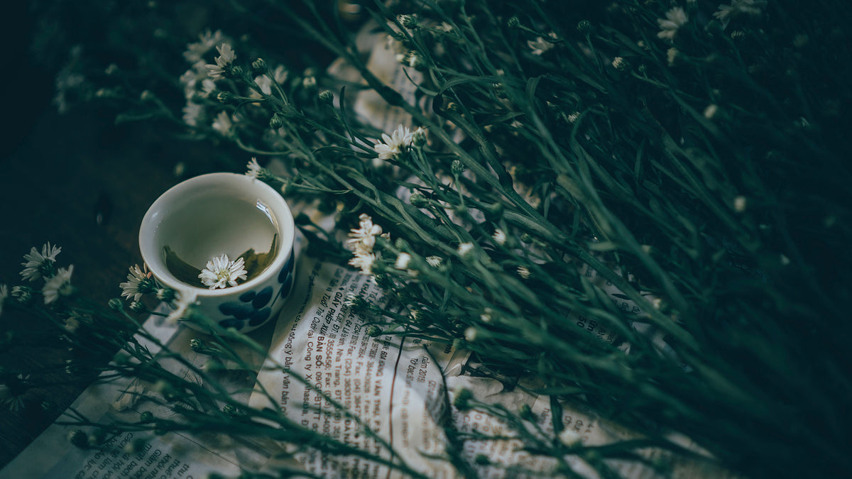 Botanical ingredients for modern care