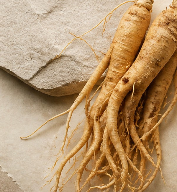 Ginseng